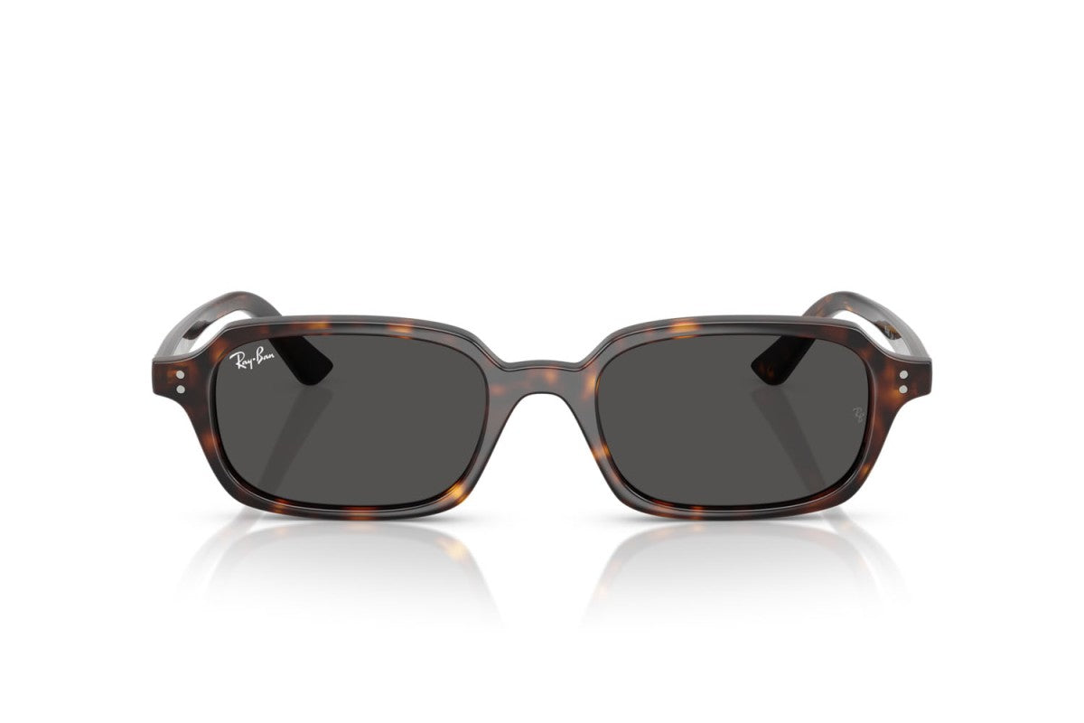 RAYBAN RB4455