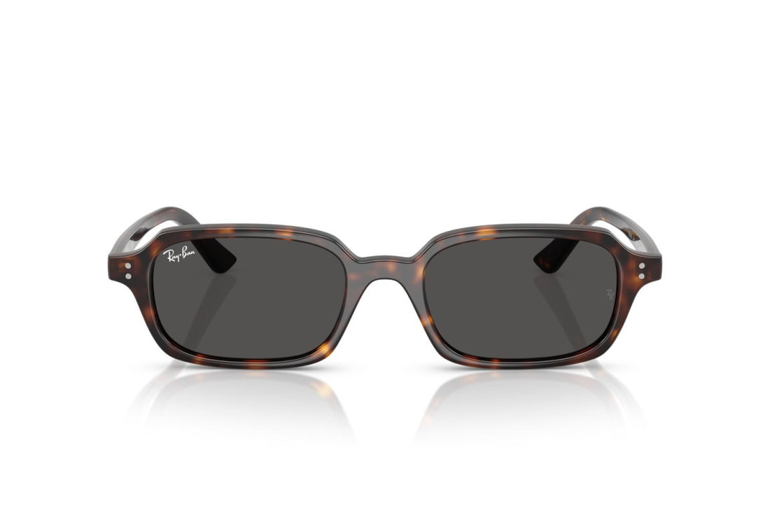 RAYBAN RB4455