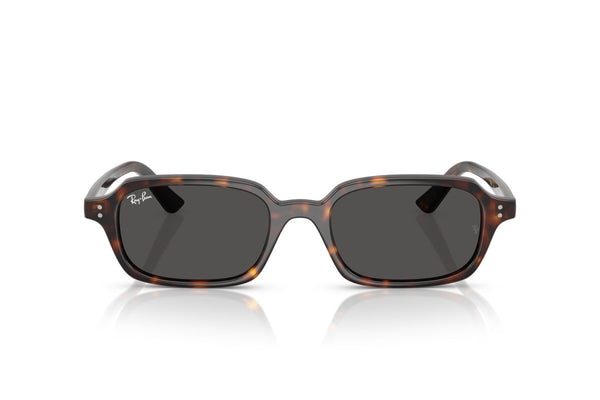 RAYBAN RB4455