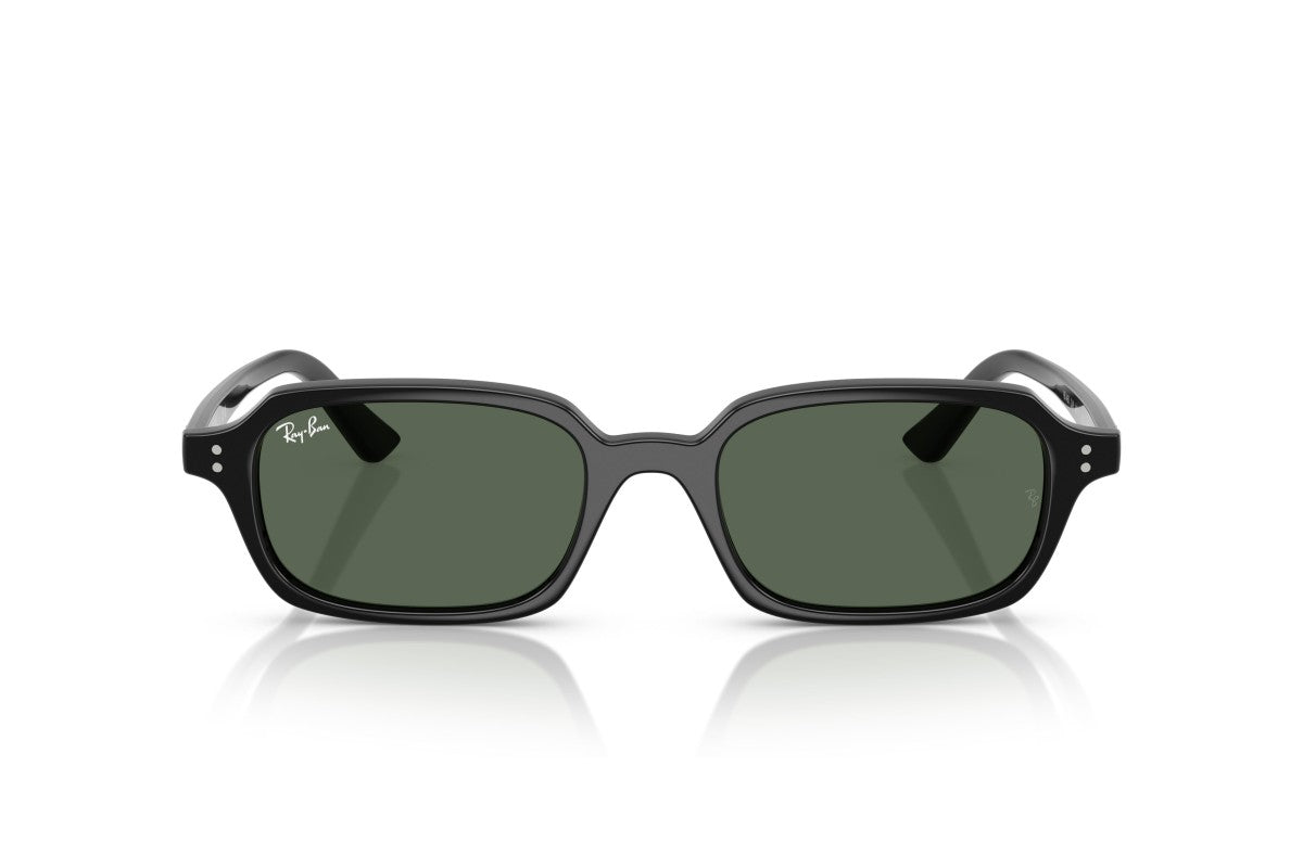 RAYBAN RB4455