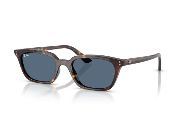 Hover image of RAYBAN RB4456