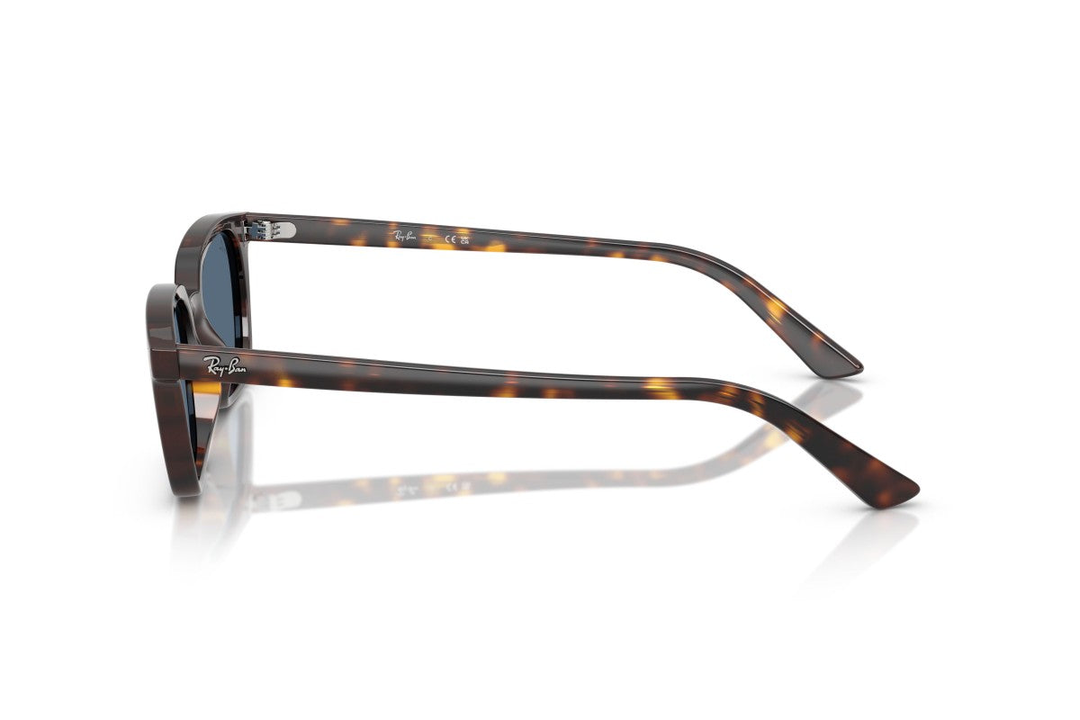 RAYBAN RB4456