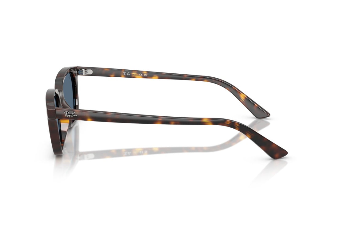 RAYBAN RB4456