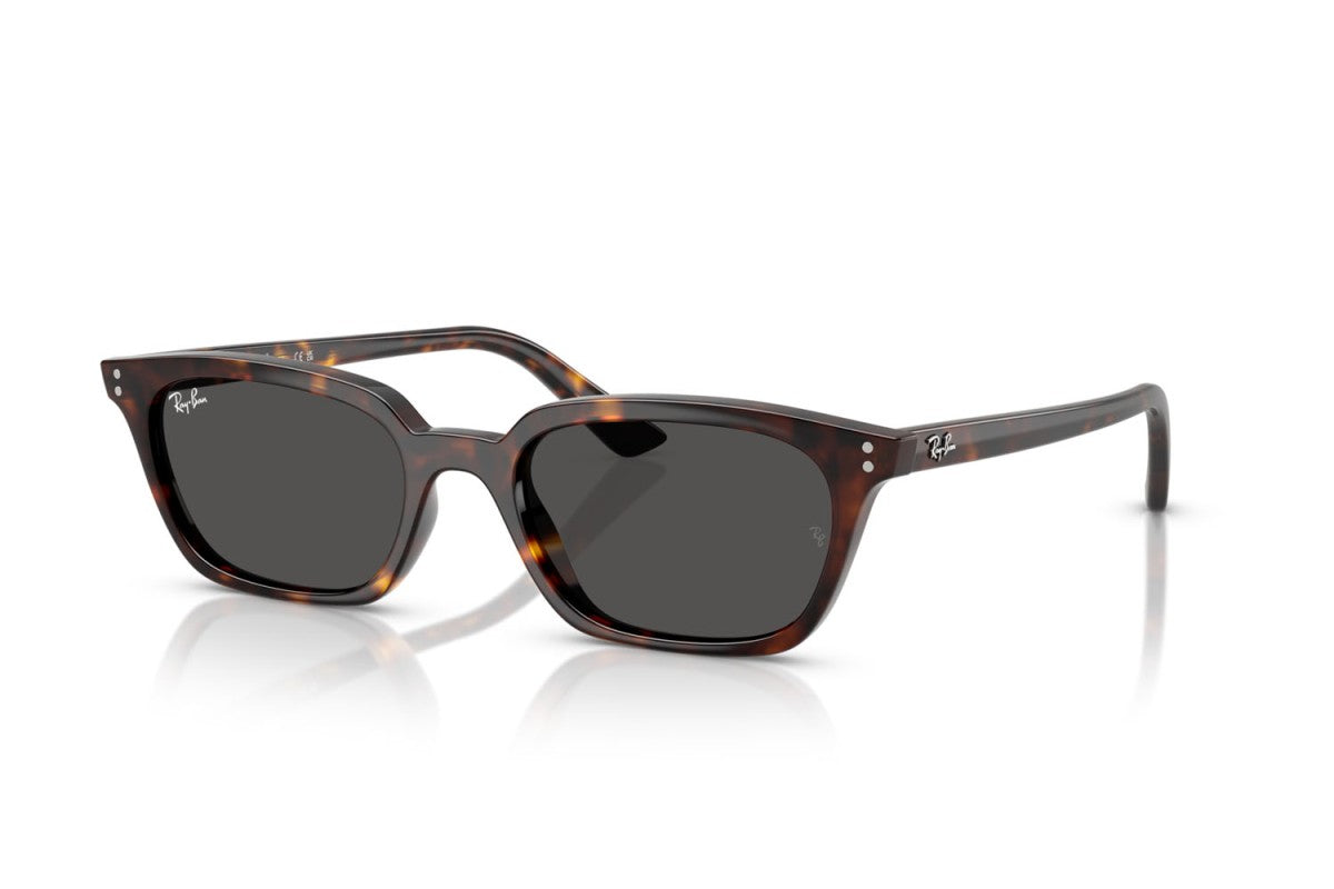 RAYBAN RB4456