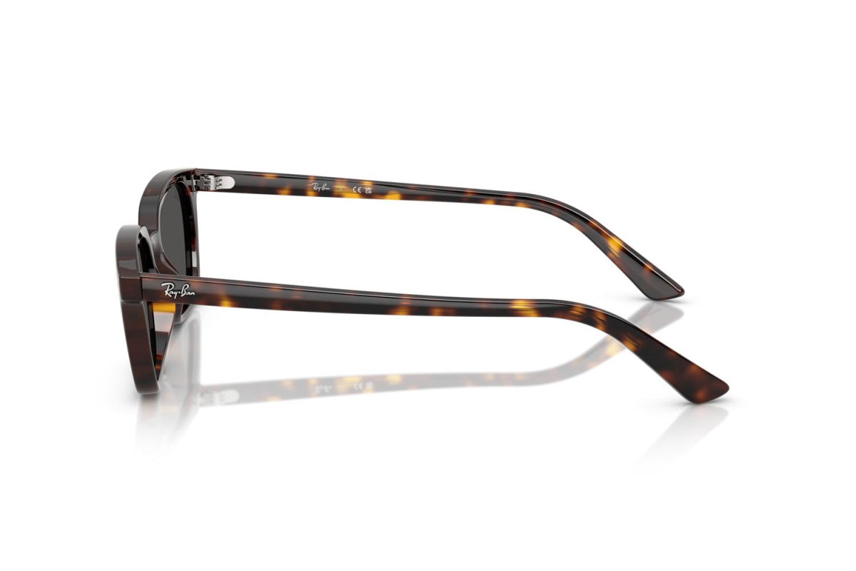 RAYBAN RB4456