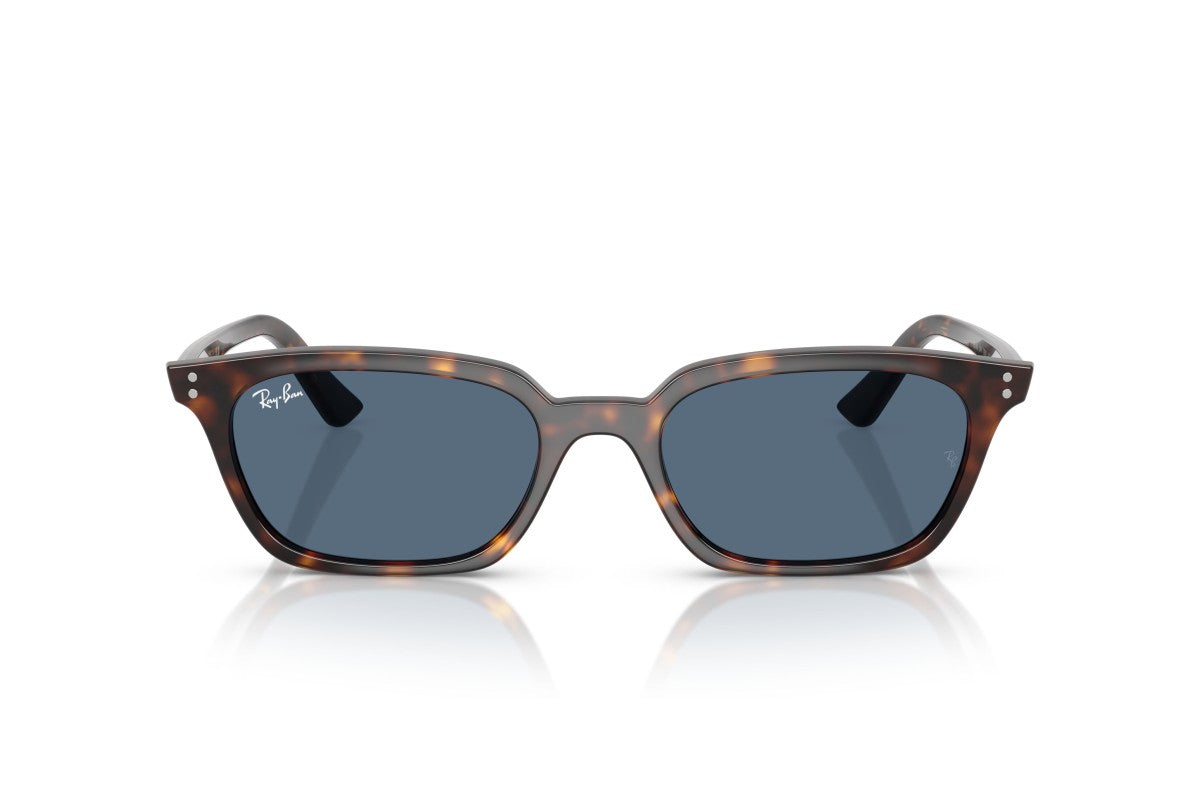 RAYBAN RB4456