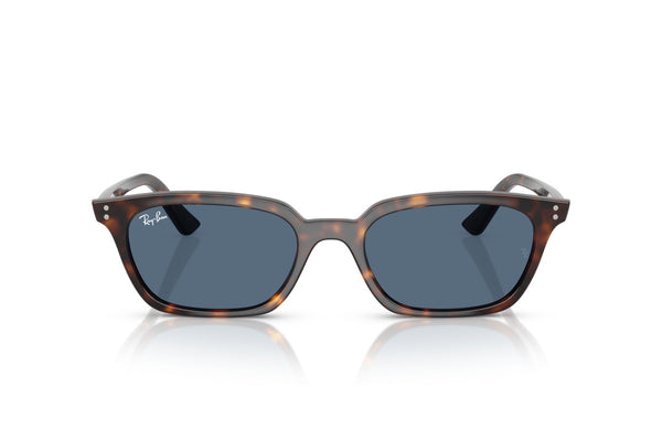 RAYBAN RB4456