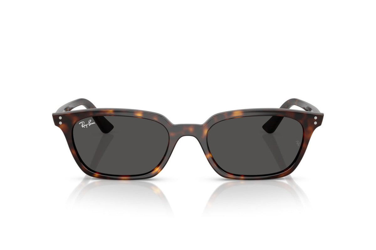 RAYBAN RB4456