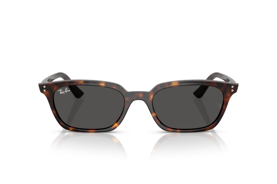 RAYBAN RB4456