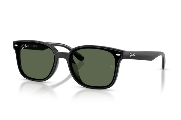 Hover image of RAYBAN RB4461D