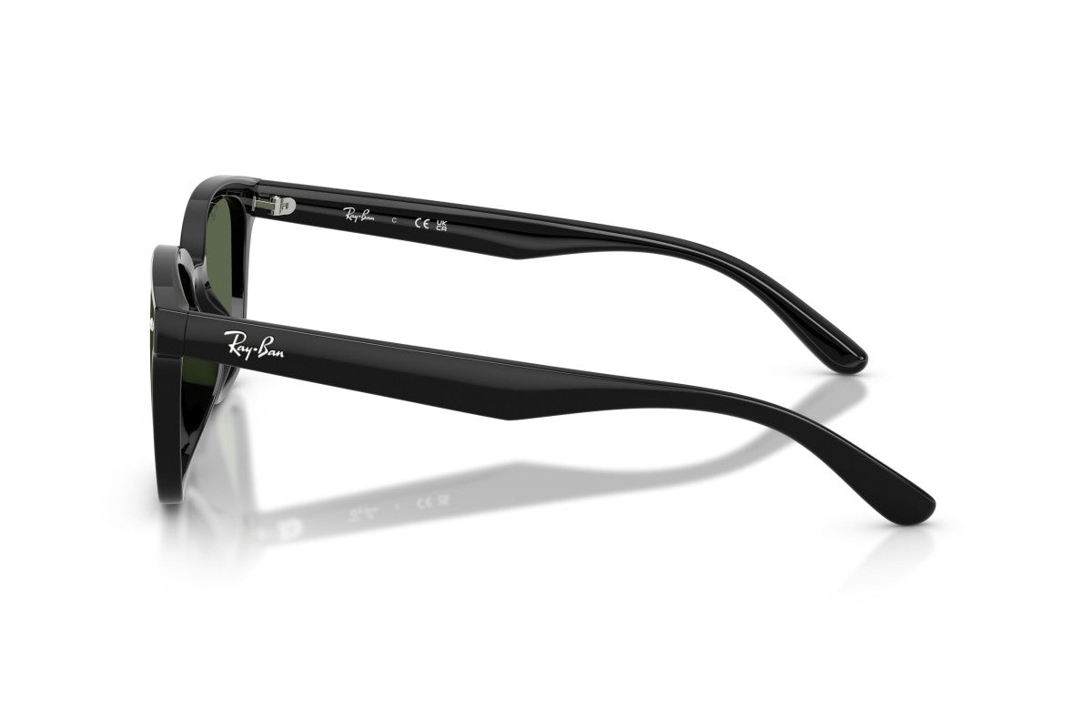 RAYBAN RB4461D