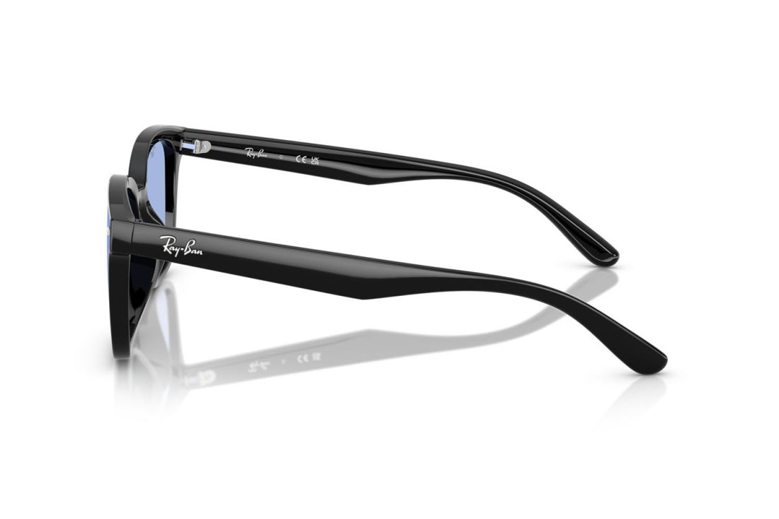 RAYBAN RB4461D