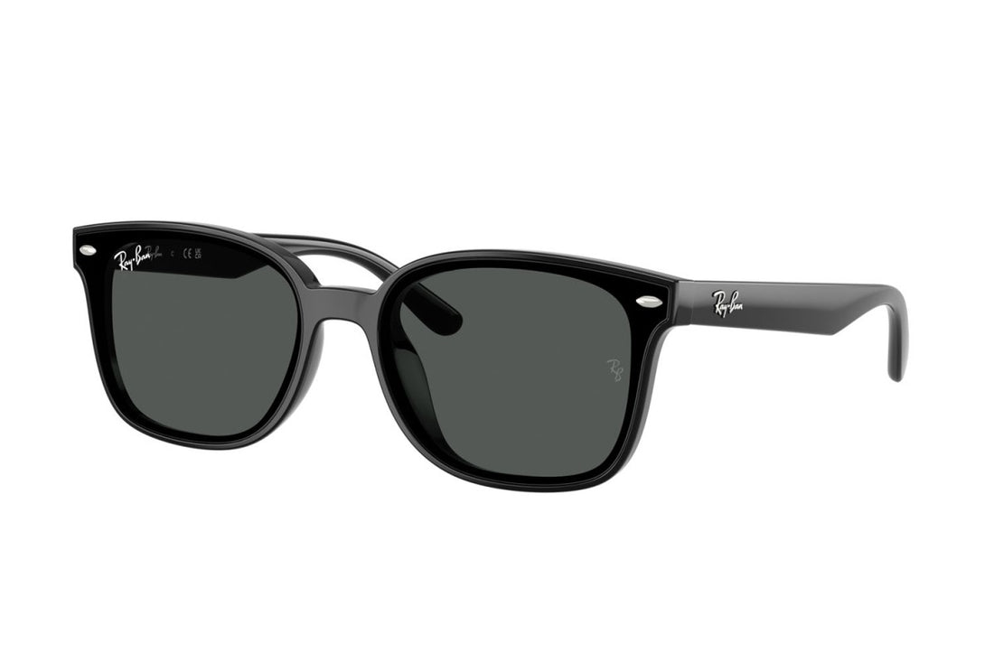RAYBAN RB4461D