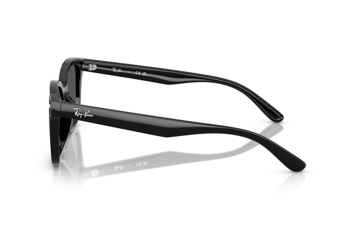 RAYBAN RB4461D