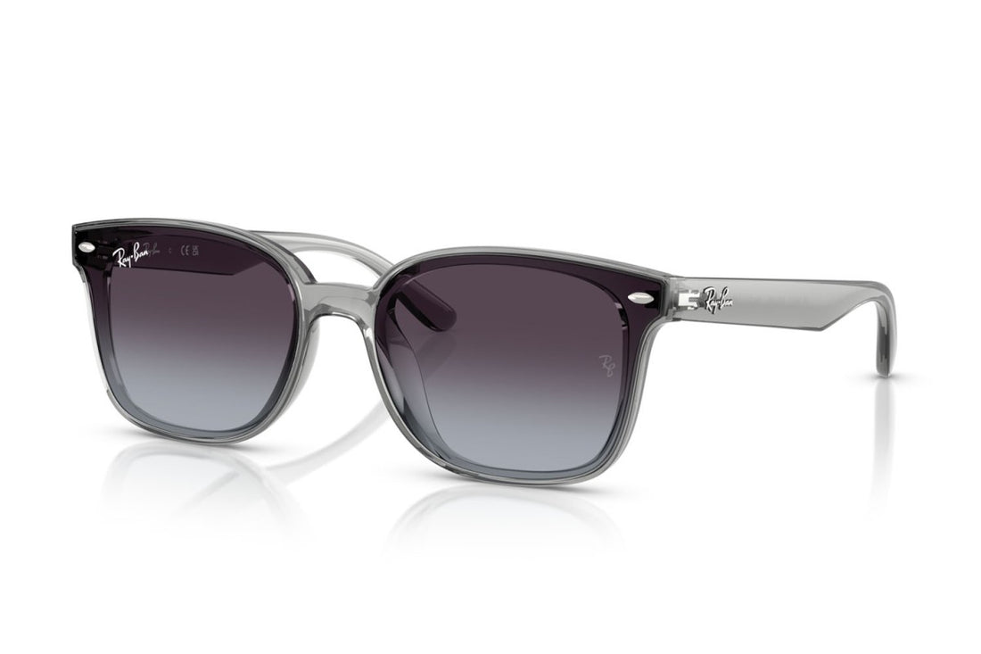 RAYBAN RB4461D