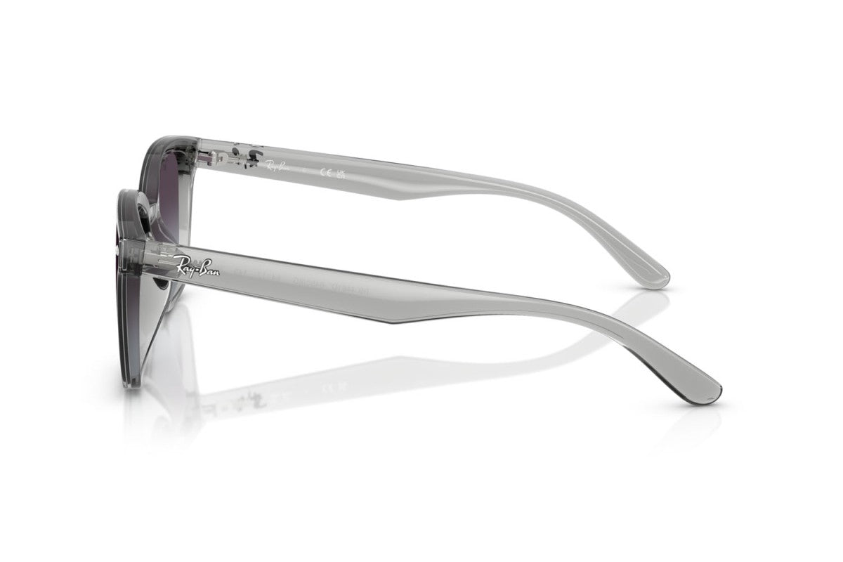 RAYBAN RB4461D