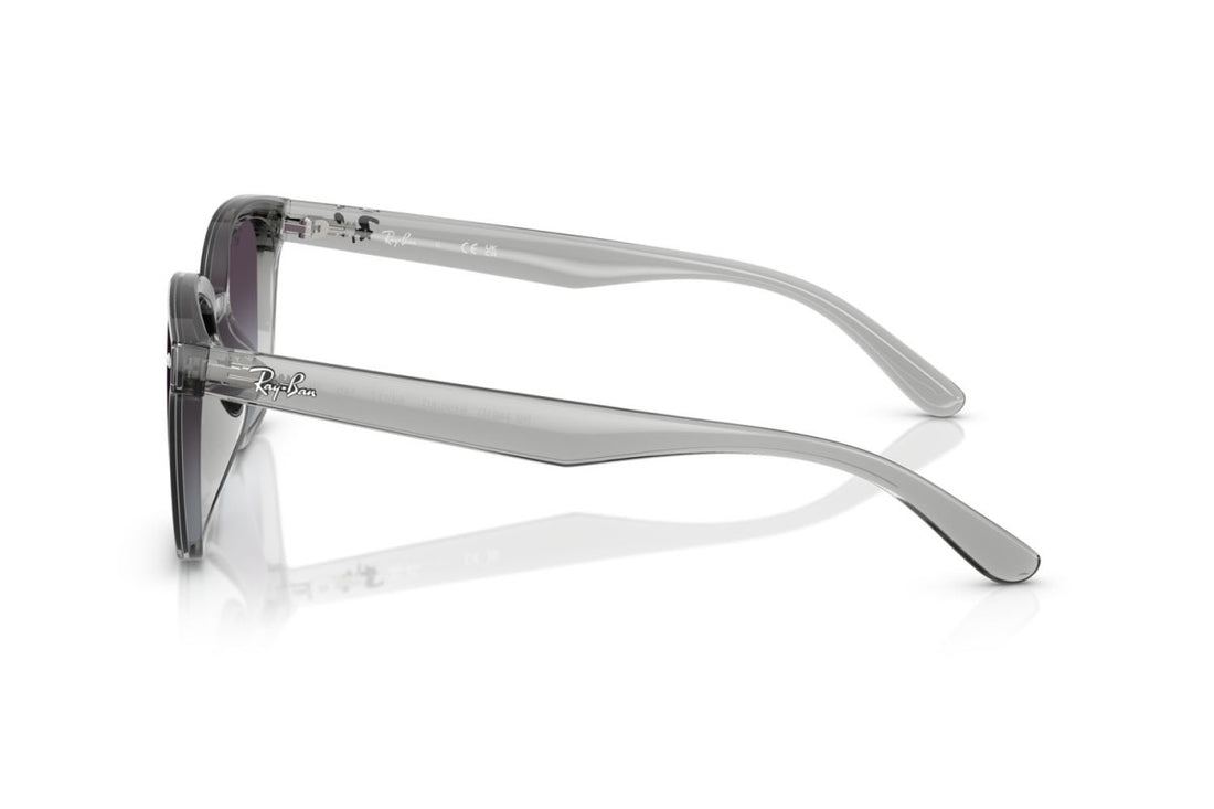 RAYBAN RB4461D