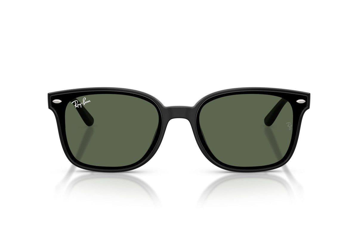 RAYBAN RB4461D