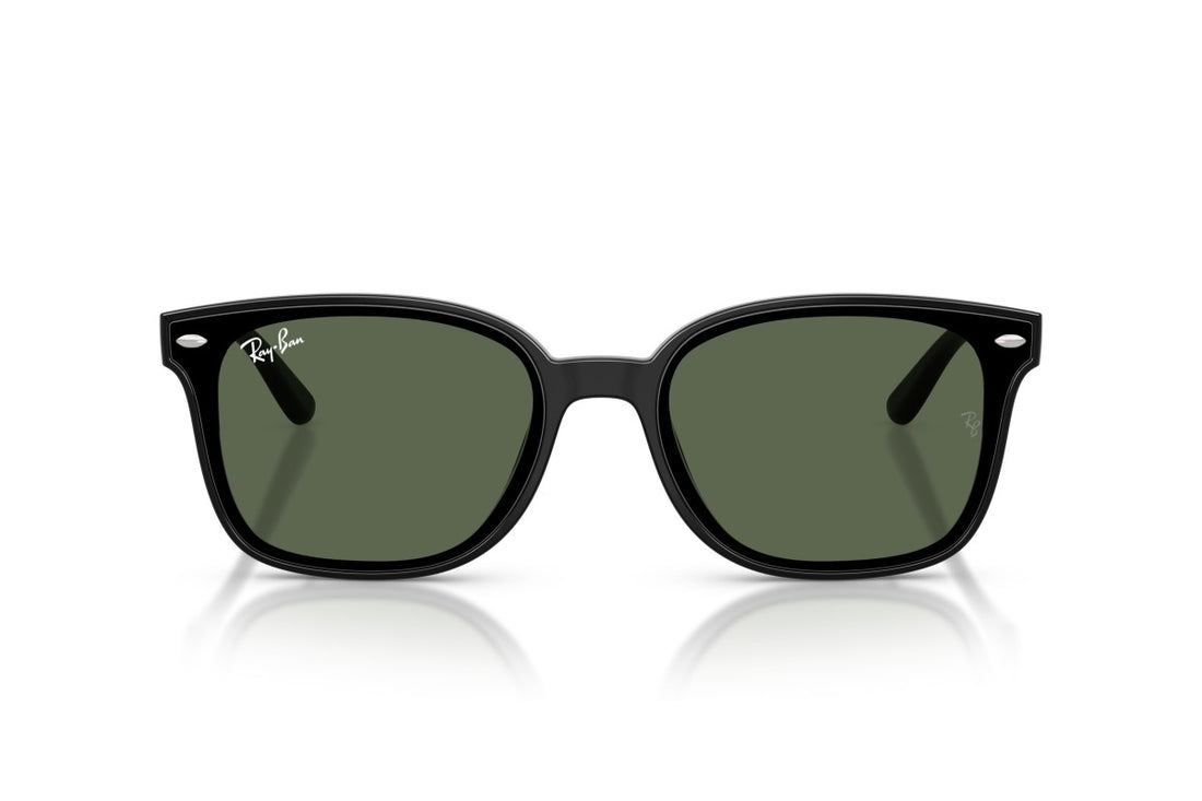 RAYBAN RB4461D