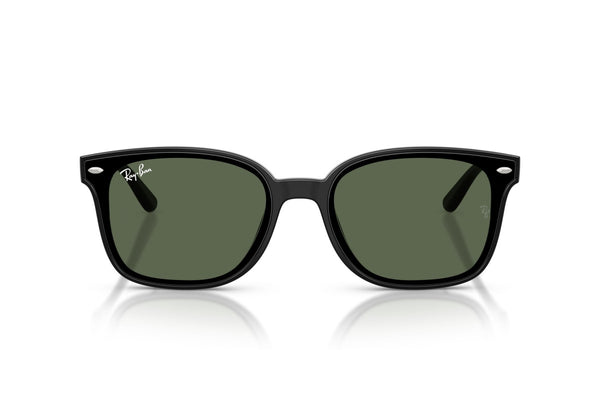 RAYBAN RB4461D