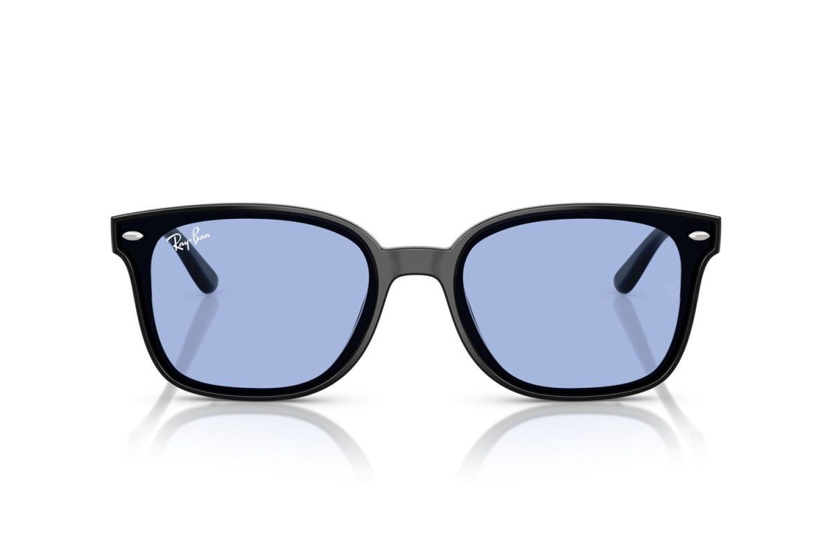 RAYBAN RB4461D