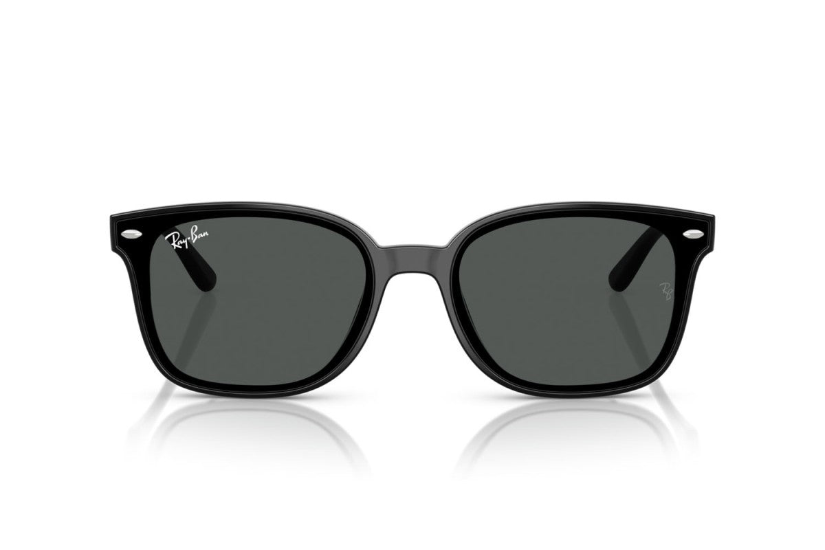 RAYBAN RB4461D