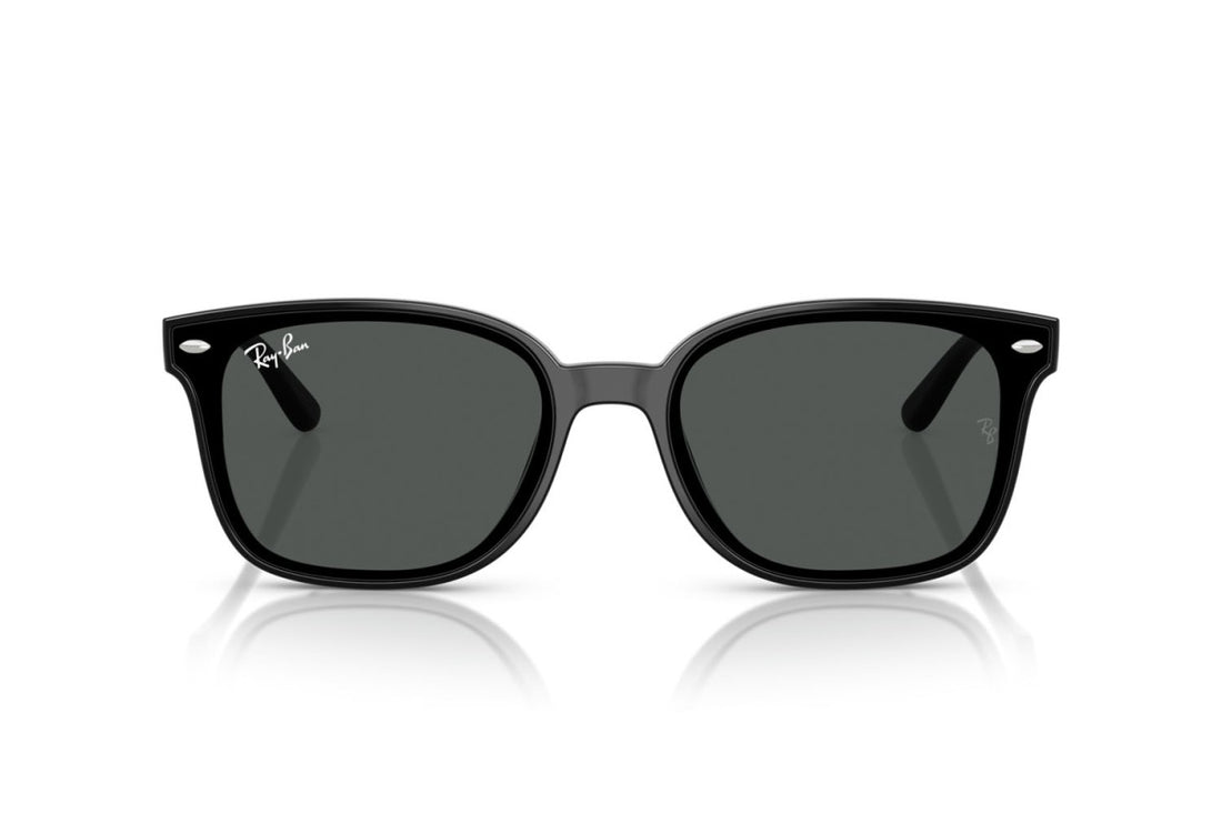 RAYBAN RB4461D