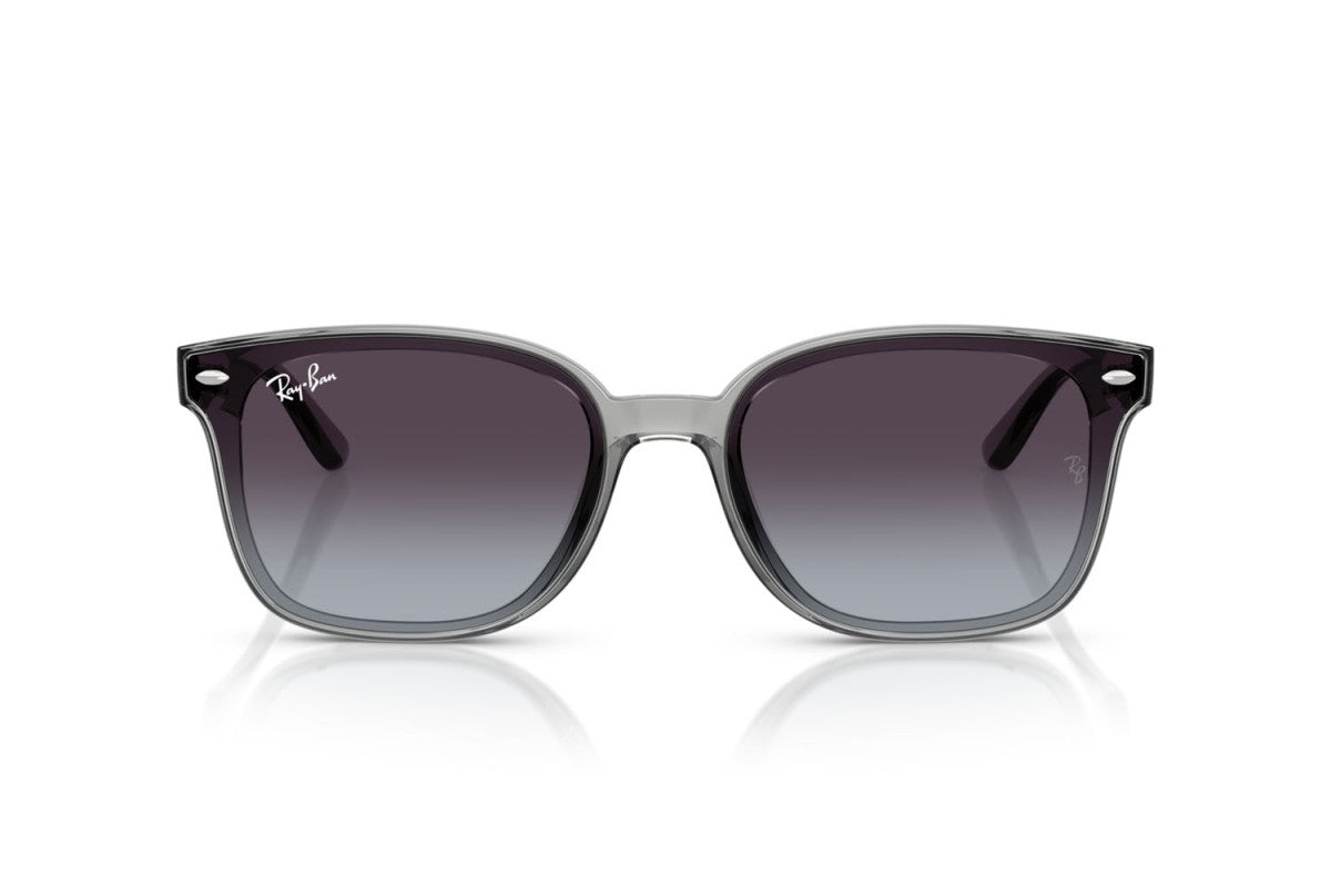 RAYBAN RB4461D