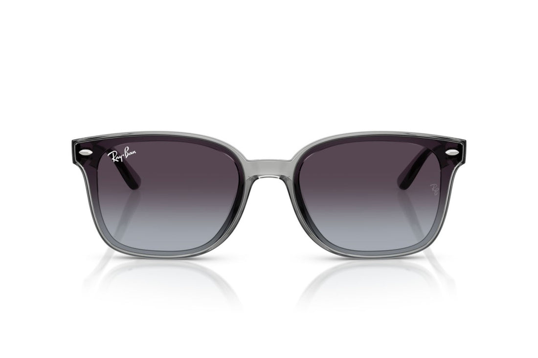 RAYBAN RB4461D