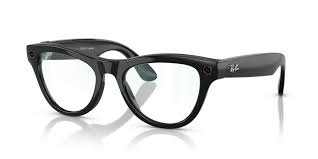 RayBan Meta RW4010