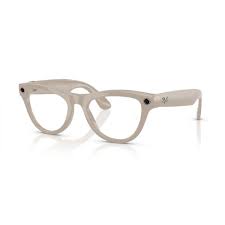 RayBan Meta RW4010